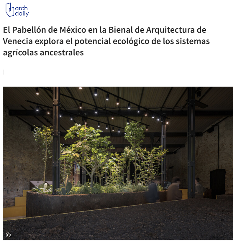 Chinampa Veneta