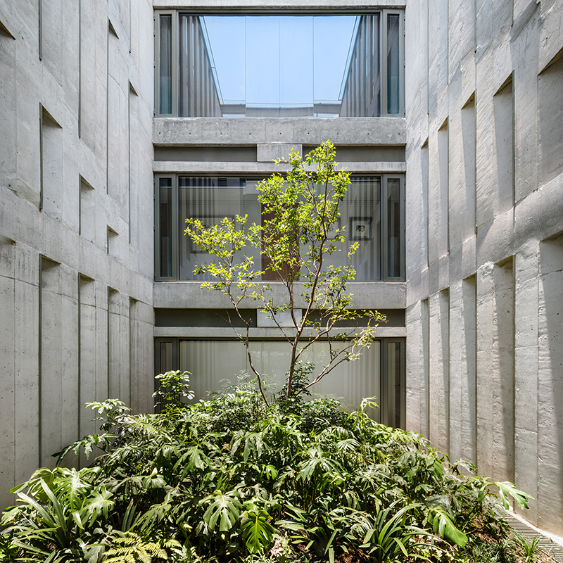Edificio Anzures
